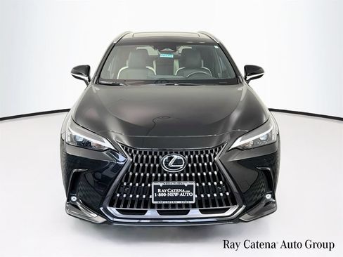 Certified 2023 Lexus NX 350 AWD image 2