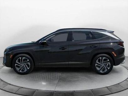 New 2026 Hyundai Tucson Limited
