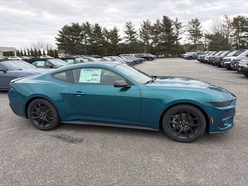 New 2026 Ford Mustang Premium w/ Mustang Nite Pony Package image 2