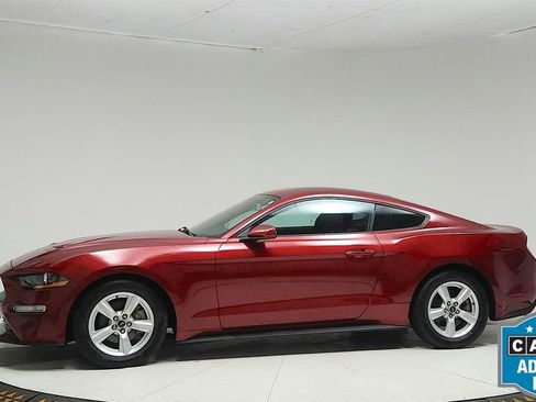 Used 2018 Ford Mustang Coupe RWD image 2