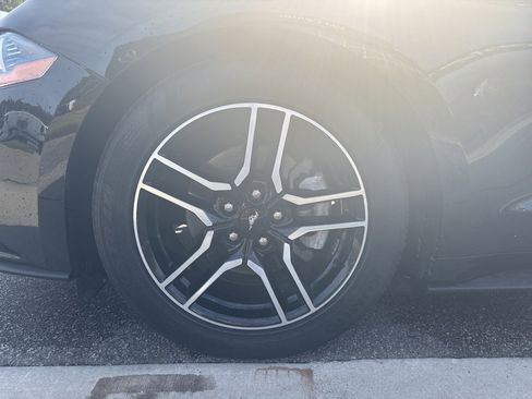 Used 2019 Ford Mustang Premium image 14