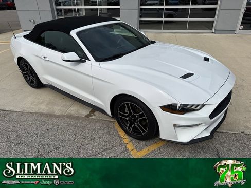 Used 2020 Ford Mustang Premium RWD image 1