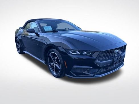 Used 2025 Ford Mustang Premium RWD image 8
