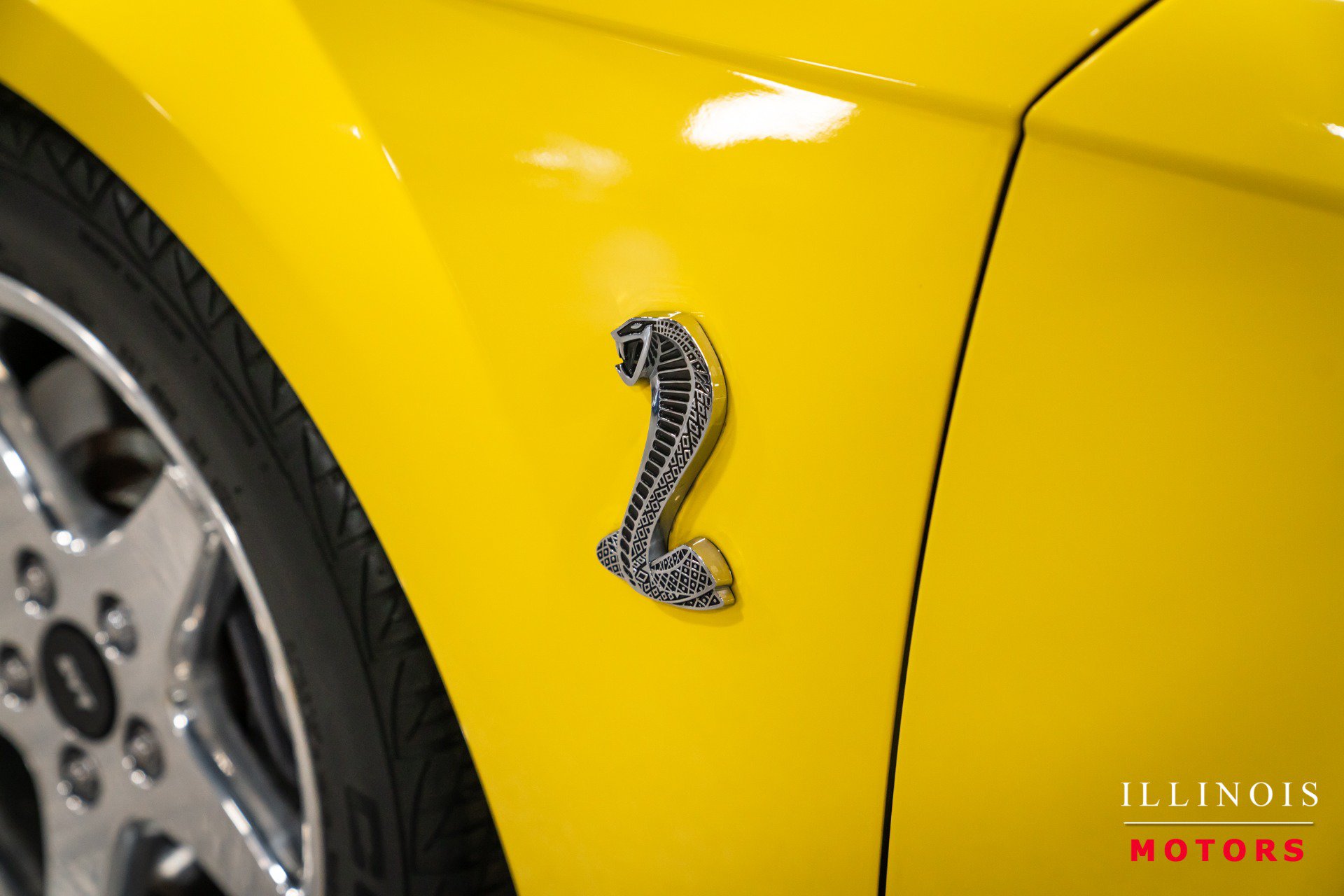 Used 2001 Ford Mustang Cobra RWD image 14