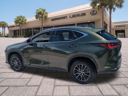 Certified 2024 Lexus NX 350 AWD image 6