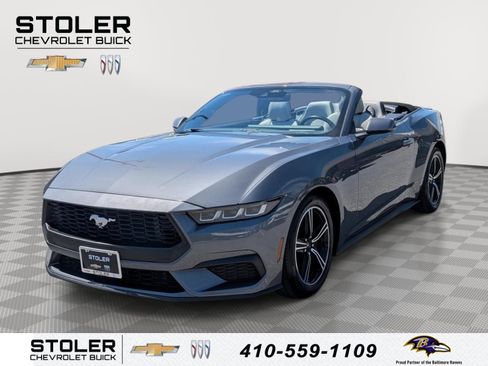 Used 2024 Ford Mustang Premium RWD image 1
