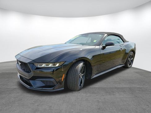 Used 2024 Ford Mustang Premium RWD image 3