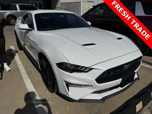 Used 2019 Ford Mustang Coupe w/ Ecoboost Performance Package image 2