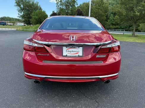 Used 2017 Honda Accord Sport Special Edition image 6