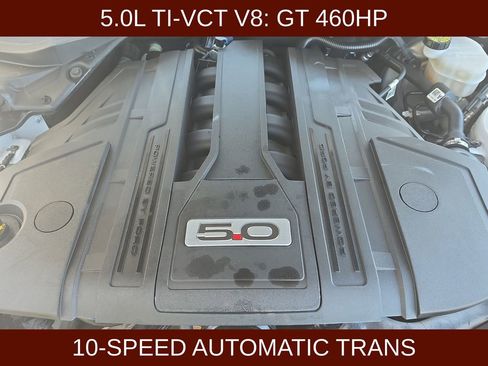 Certified 2021 Ford Mustang GT Premium w/ Equipment Group 401A RWD image 3