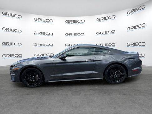 Used 2019 Ford Mustang Premium w/ Equipment Group 201A RWD image 4