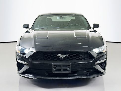 Used 2019 Ford Mustang Coupe image 2