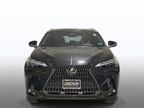 Used 2023 Lexus NX 300h 350h Luxury image 8