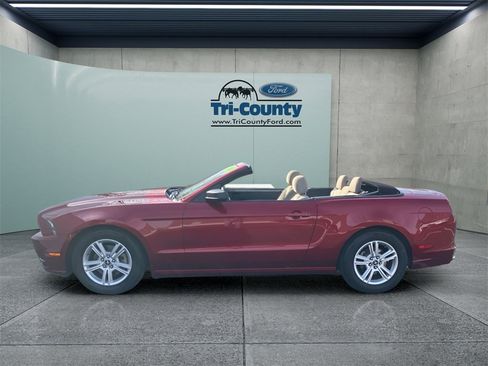 Used 2014 Ford Mustang V6 w/ Equipment Group 102A image 5