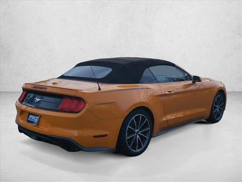 Used 2019 Ford Mustang Premium w/ Equipment Group 201A image 5