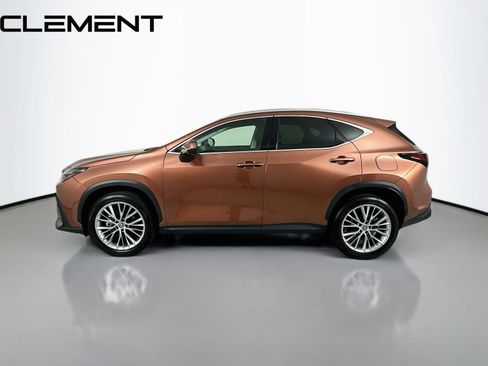 Used 2025 Lexus NX 350 AWD w/ Accessory Package (2T) image 6