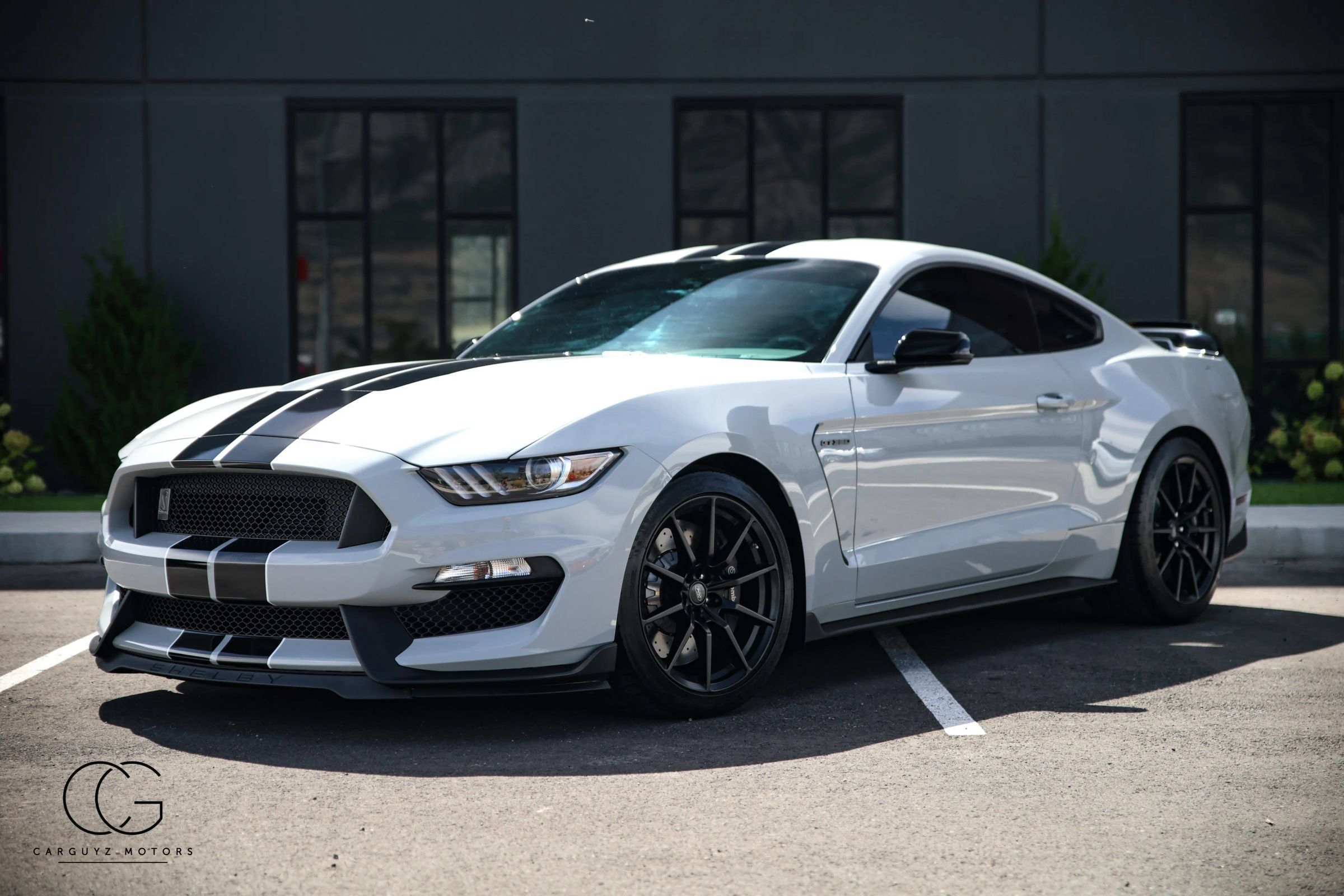 Used 2016 Ford Mustang Shelby GT350 w/ Track Package RWD image 3