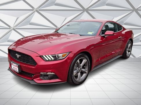 Used 2017 Ford Mustang Premium w/ Enhanced Security Package RWD image 4