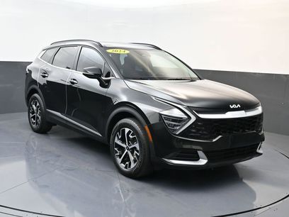 Used 2024 Kia Sportage EX w/ EX Premium Package