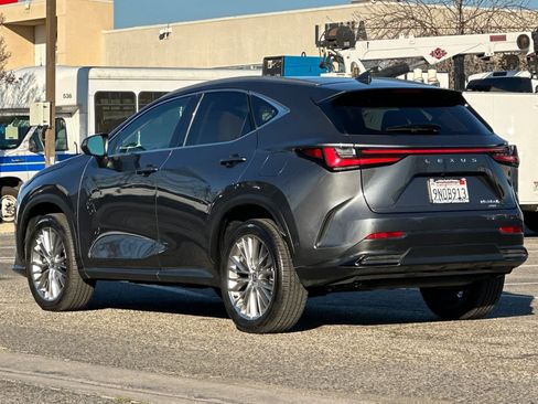 Used 2025 Lexus NX 300h AWD w/ Luxury Package image 6