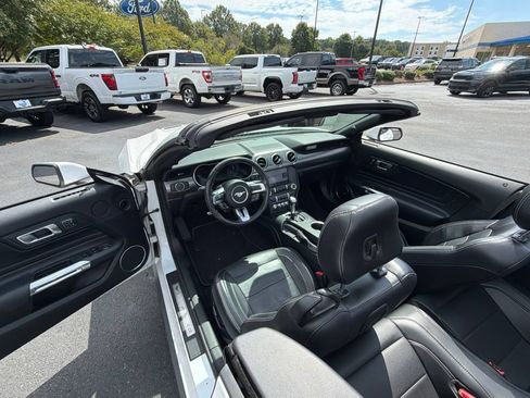 Used 2019 Ford Mustang Premium w/ Equipment Group 201A RWD image 8
