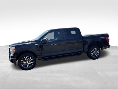 Used 2021 Ford F150 XL w/ STX Appearance Package AWD/4WD image 3