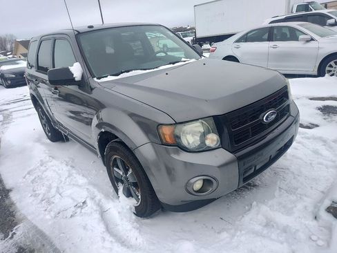 Used 2011 Ford Escape XLT w/ Leather Pkg image 1