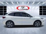 Used 2024 Ford Escape ST-Line image 2