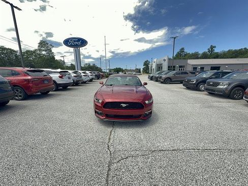 Used 2015 Ford Mustang Premium w/ Equipment Group 201A RWD image 10