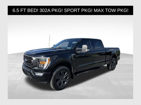 Used 2023 Ford F150 XLT w/ Equipment Group 302A High AWD/4WD image 1