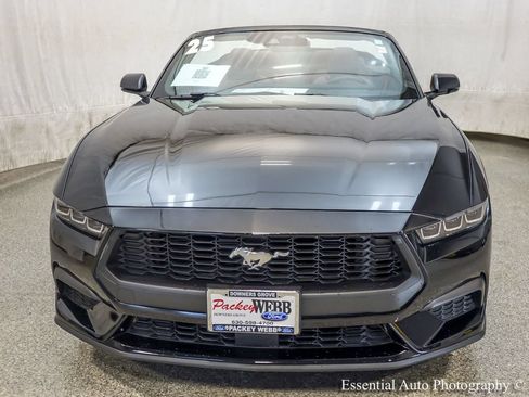 Used 2025 Ford Mustang Premium RWD image 6