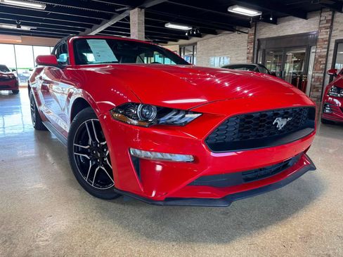 Used 2023 Ford Mustang Convertible RWD image 1