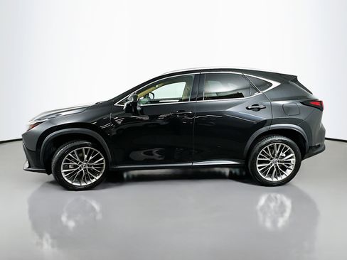 Certified 2025 Lexus NX 350h AWD w/ Cold Area Package image 4