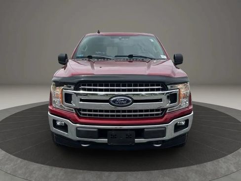 Used 2019 Ford F150 XLT w/ Equipment Group 302A Luxury AWD/4WD image 5