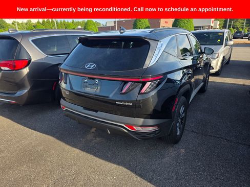 Used 2023 Hyundai Tucson Blue AWD/4WD image 3