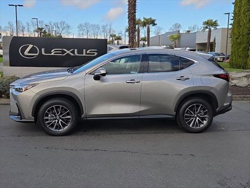 Certified 2025 Lexus NX 350 AWD w/ Cold Area Package image 2