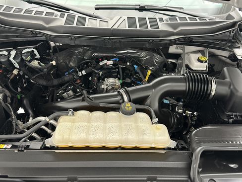 Used 2025 Ford F150 XLT w/ Equipment Group 301A Standard AWD/4WD image 22