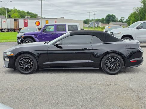 Used 2019 Ford Mustang Premium RWD image 4