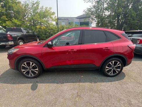 Used 2022 Ford Escape SE w/ SE Sport Appearance Package AWD/4WD image 8