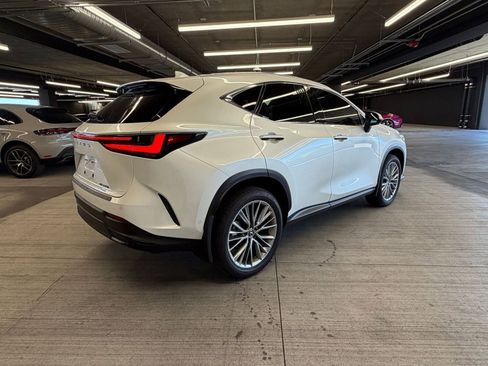 Used 2025 Lexus NX 350h AWD w/ Cold Area Package image 4
