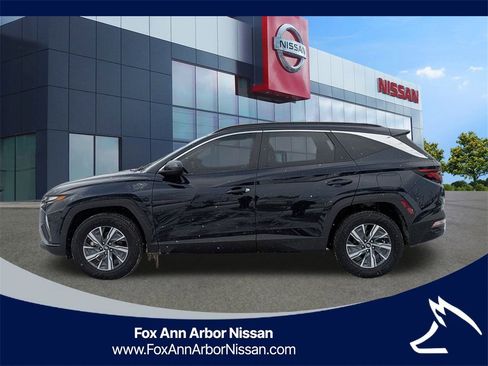 Used 2024 Hyundai Tucson Blue image 2