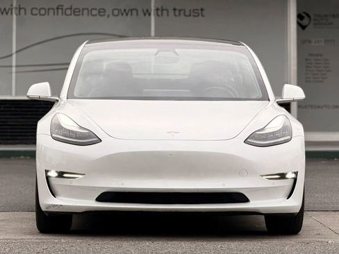 Used 2019 Tesla Model 3 Standard Range Plus image 3