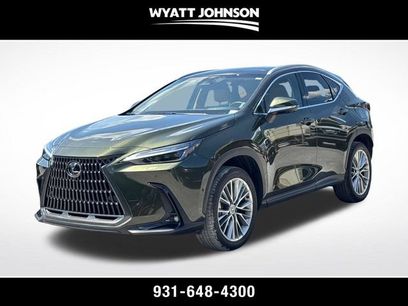 Used 2025 Lexus NX 350 AWD w/ Cold Area Package