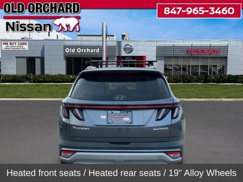 Used 2025 Hyundai Tucson Limited image 7