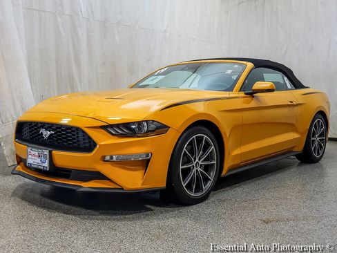 Used 2019 Ford Mustang Premium w/ Equipment Group 201A RWD image 1