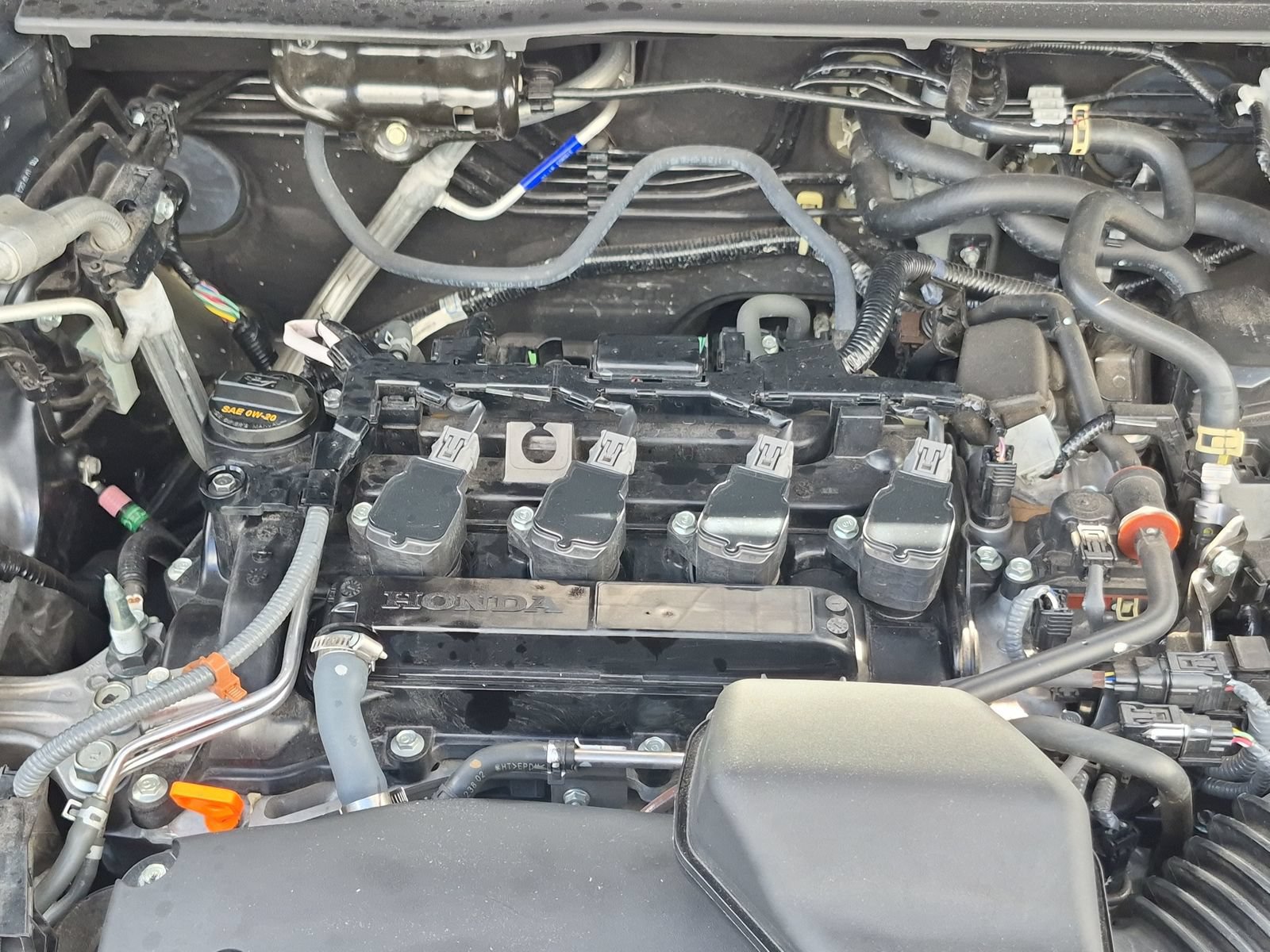 Certified 2024 Honda CR-V EX-L image 22