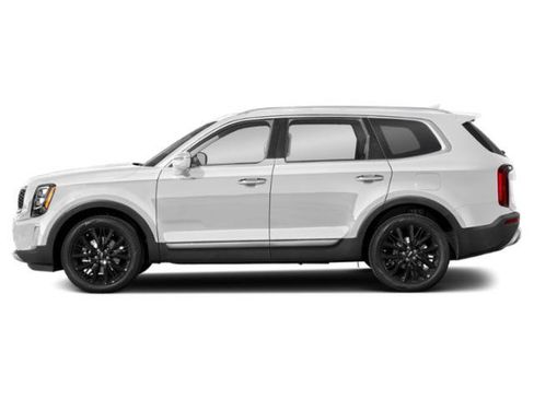 Used 2022 Kia Telluride SX w/ SX Prestige Package image 3