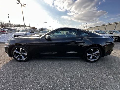 Used 2016 Ford Mustang Coupe w/ Equipment Group 051A image 8