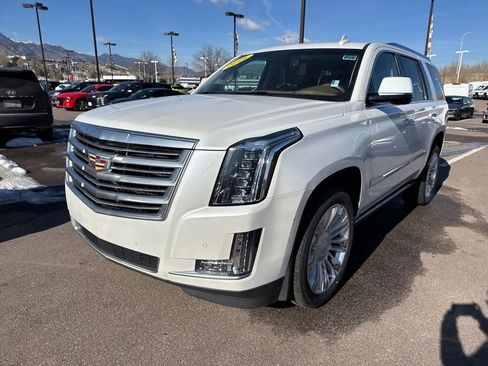 Used 2016 Cadillac Escalade Platinum image 4