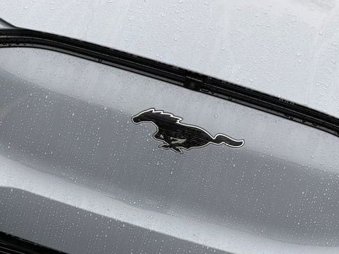 New 2026 Ford Mustang Mach-E Premium w/ Technology Package image 4